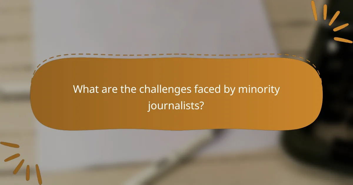 What are the challenges faced by minority journalists?