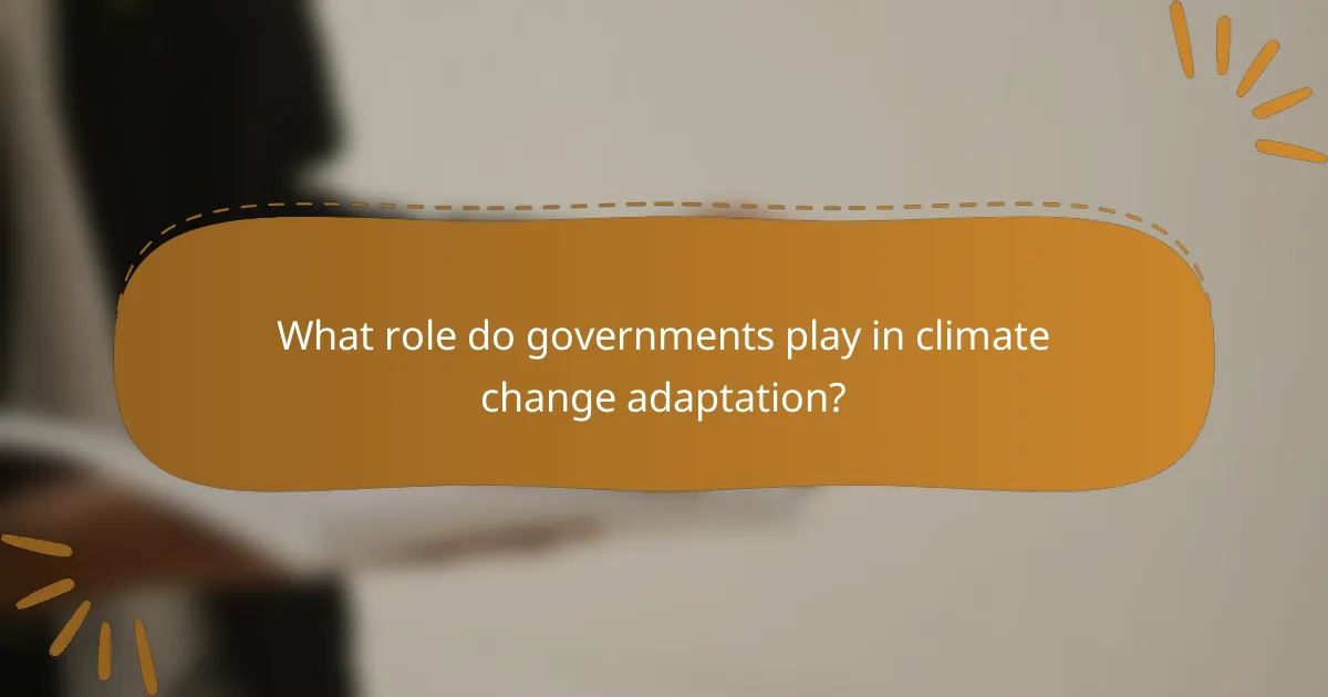 What role do governments play in climate change adaptation?