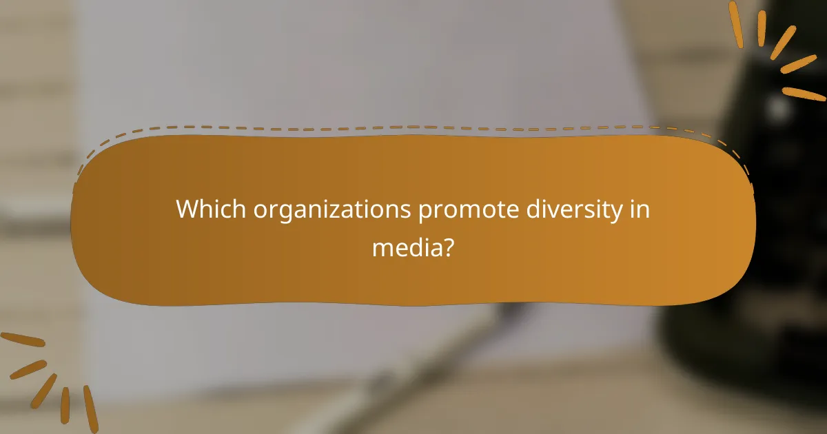 Which organizations promote diversity in media?